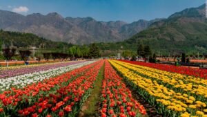 Chennai to srinagar tour package by rengha holidays